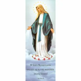 baner-niepokalane-serce