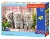 puzzle-260-three-grey-kittens-castor-bcd