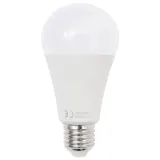 zestaw-lamp-studyjnych-i-akcesoriow-stan-nowy