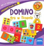 gra-domino-gra-w-liczenie-wiek-gracza-5-7-lat-8-11-lat