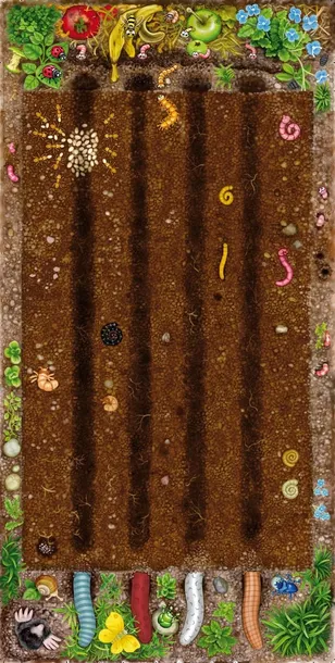 gra-gnaj-robaczku-minimalna-liczba-graczy-2