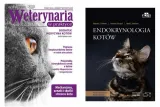 endokrynologia-kotow-stan-nowy