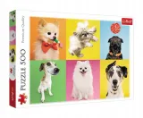 puzzle-500-psy-trefl-stan-nowy