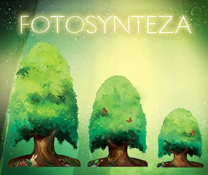 gra-fotosynteza-wiek-gracza-8-11-lat-12-14-lat-15-18-lat