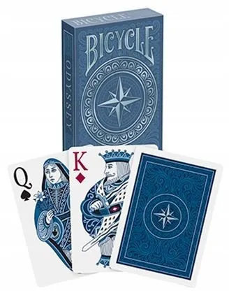 bicycle-odyssey-rodzaj-podstawa