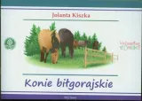 konie-bilgorajskie-stan-nowy