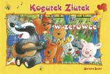 sudol-kogutek-ziutek-w-zerowce-rodzaj-zbior-zadan-testow