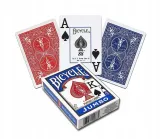 karty-rider-back-jumbo-bicycle-minimalna-liczba-graczy-1