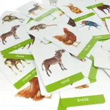 karty-montessori-las-jezyk-polski