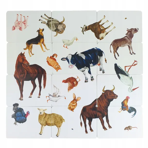 karty-montessori-las-okladka-miekka