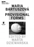 maria-bartuszova-provisional-forms-stan-nowy
