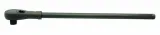 adler-grzechotka-1
