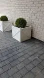 donica-15-e-50x50x50-stan-nowy-kod-produktu-52684226