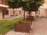 donica-41-c-40x60x50-material-wykonania-drewno
