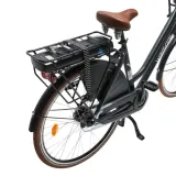 wayscral-everyway-e-carrier-28-amortyzacja-brak
