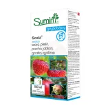 scala-100-ml
