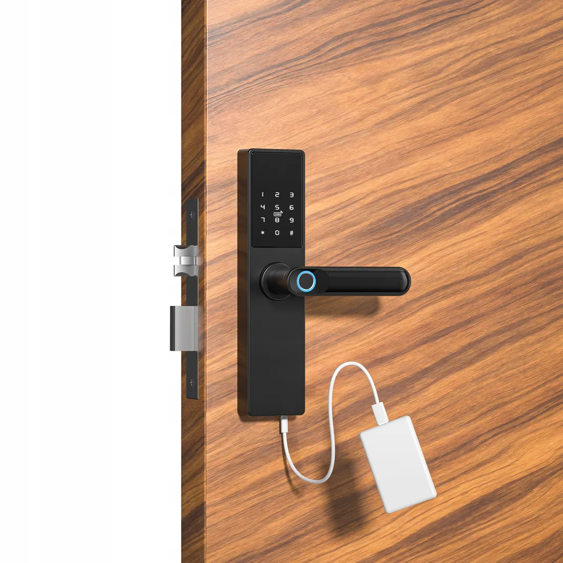 inteligenty-zamek-do-drzwi-tuya