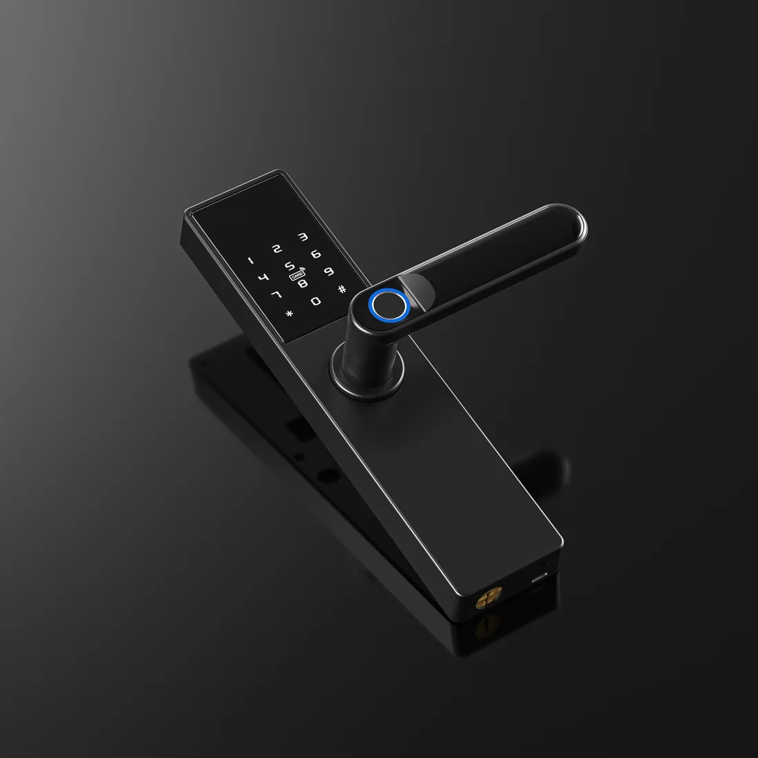 inteligenty-zamek-do-drzwi-tuya