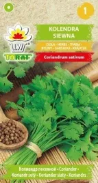 kolendra-siewna-nasiona-toraf-2g