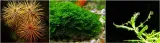 progrow-bio-kule-32mm-2000szt-stan-nowy