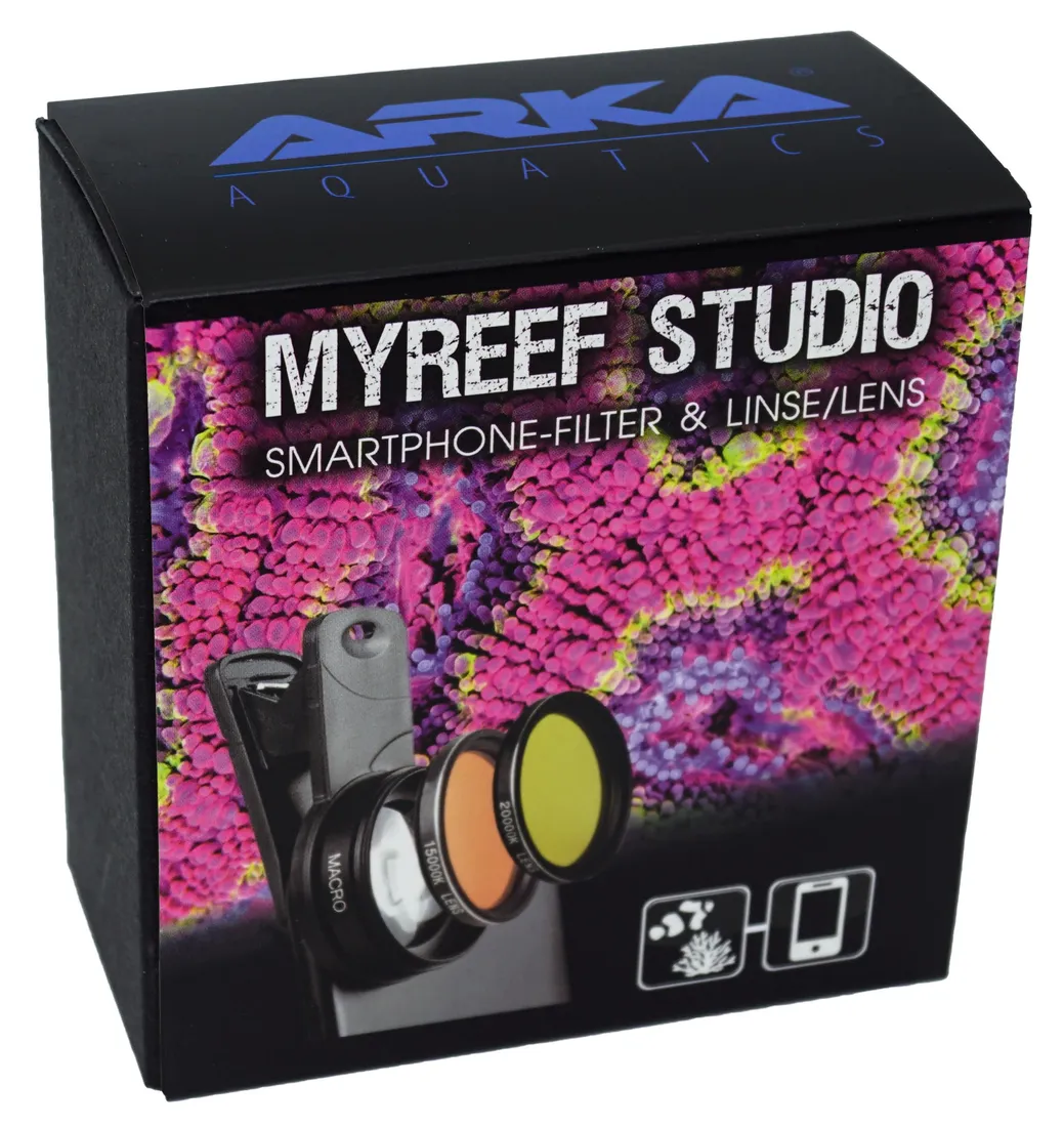 arka-myreef-studio