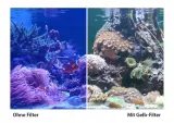 arka-myreef-studio-kod-producenta-myreef