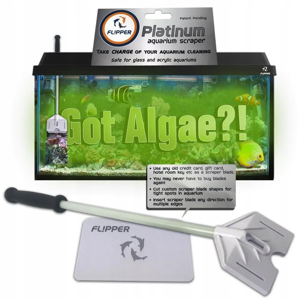flipper-platinum-scraper-71cm