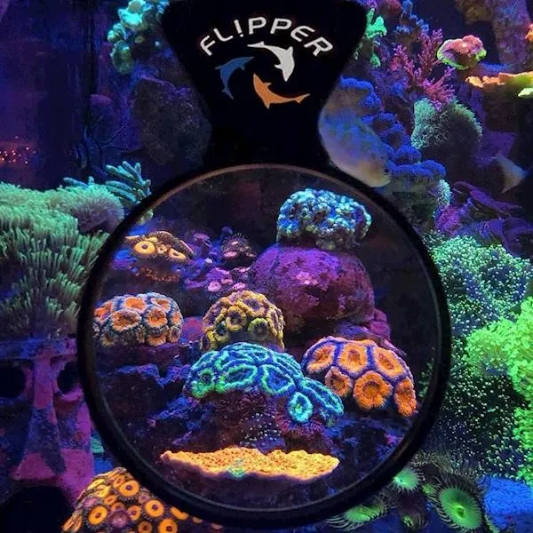 flipper-deepsee-standard-lupa-stan-nowy-kod-producenta-deepsee