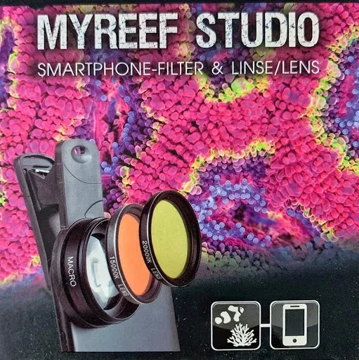arka-myreef-studio