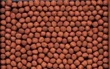 hikari-cichlid-gold-medium-250gr-masa-250-g