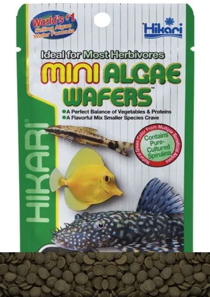 hikari-mini-algae-wafers-22gr-typ-przetworzone