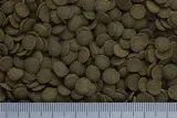 hikari-mini-algae-wafers-85gr-marka-hikari