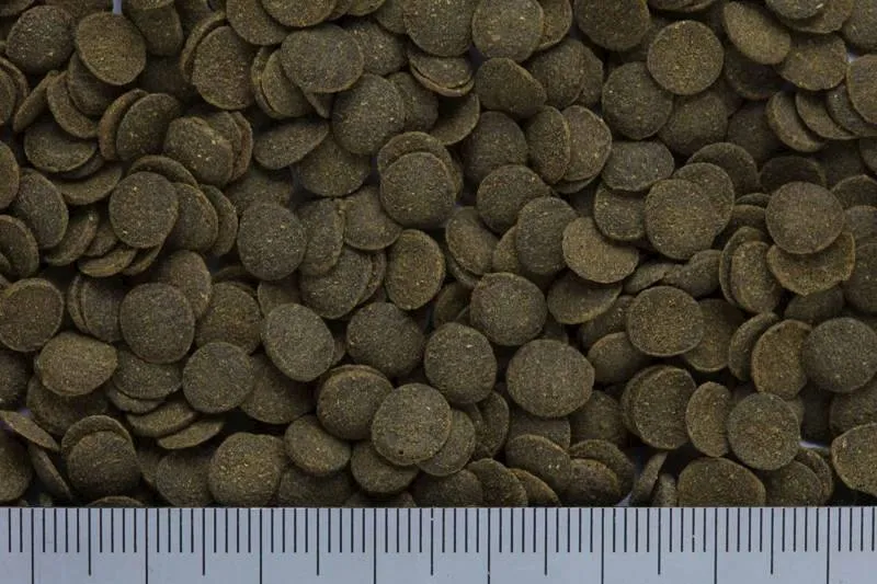 hikari-mini-algae-wafers-85gr