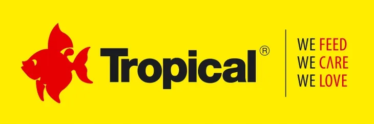 tropical-carbo-100ml-konsystencja-plyn