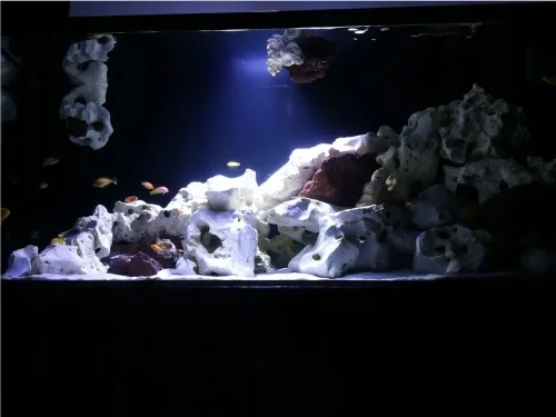 fluval-nano-marine-led-3-0-bluetooth-rodzaj-oswietlenia-diody-led
