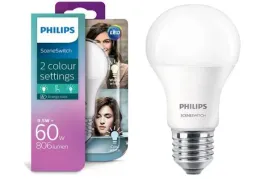 zarowka-60w-philips-scene-switch
