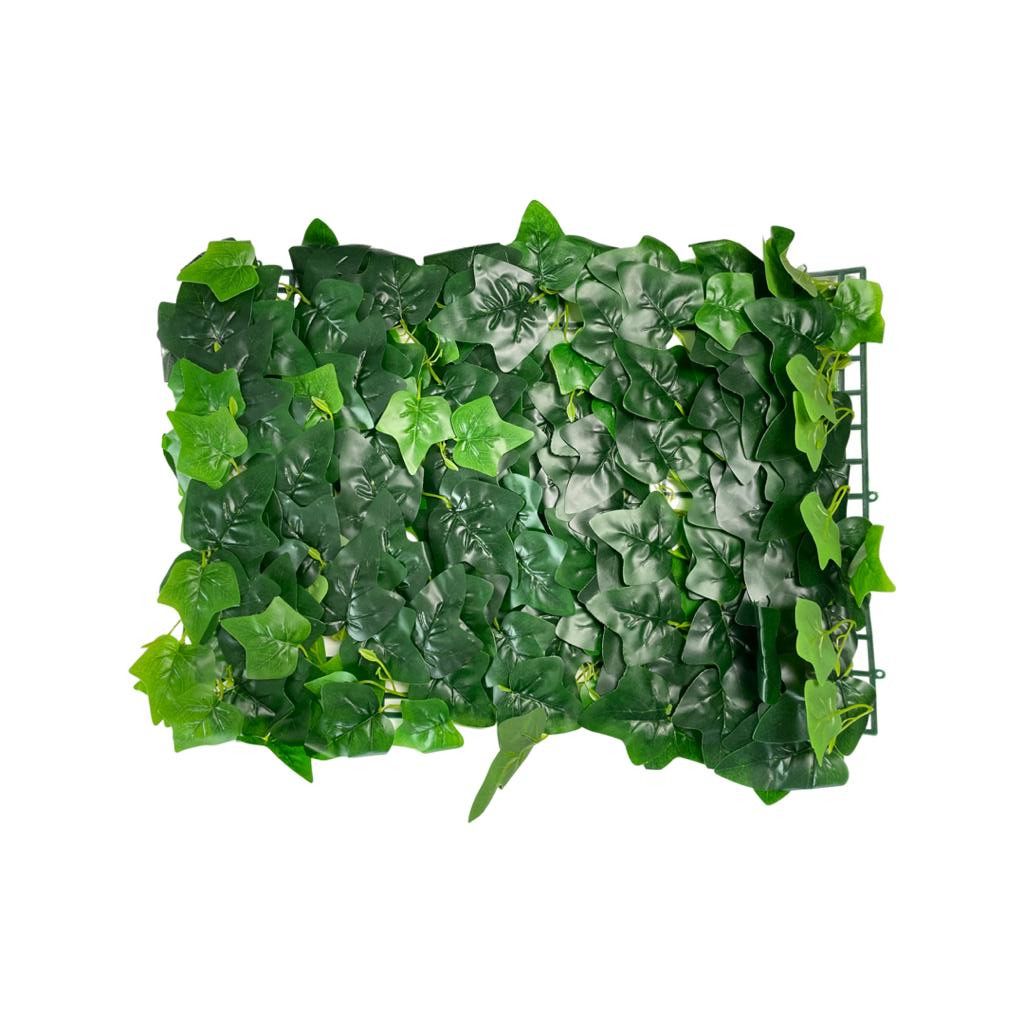 Panel z bluszczu bluszcz żywa ściana ogrody wertykalne 60x40 fejka
