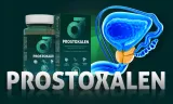 prostoxalen-koniec-problemow-z-prostata-postac-kapsulki