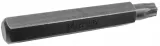 bit-10mm-torx-45x75mm-exclusive-s2