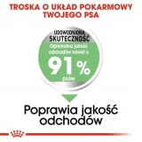 royal-ccn-medium-digestive-care-3kg-waga-produktu-wiecej-niz-2-kg-do-5-kg