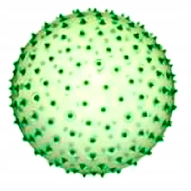 pilka-pvc-230-mm-jezyk-transparentny-rodzaj-gumowe