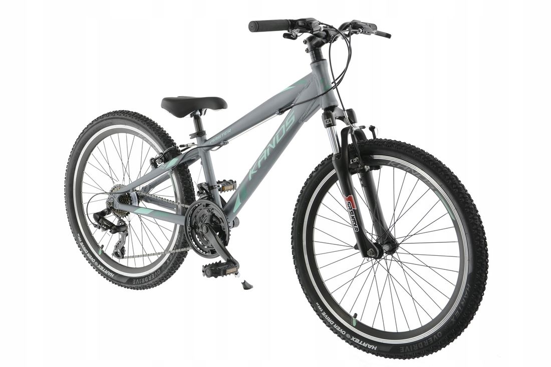 Rower komunijny MTB Kands Master 24'' ERLI.pl