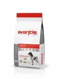avantis-performance-15kg-kurze-watrobki-2x80g