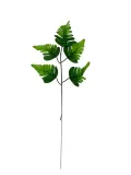 lisc-paproci-bl049-45-cm