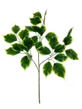 lisc-rx086-70-cm