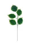 lisc-k7-1-21-50-cm