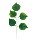 lisc-k7-1-19-50-cm