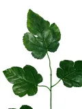lisc-k7-1-34a-55-cm-stan-nowy