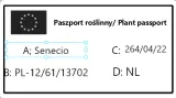 starzec-senecio-rowleyanus-rodzaj-rosliny-rosliny-zielone