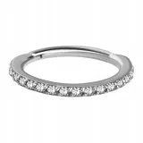 cocr-nf-hinged-segment-ring-12x12-wh-m03-conch